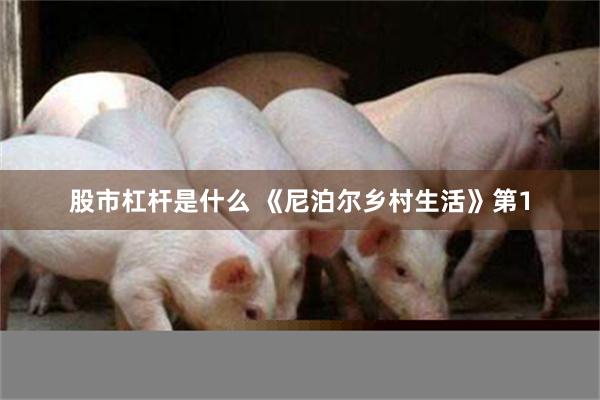 股市杠杆是什么 《尼泊尔乡村生活》第1