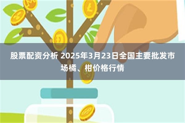 股票配资分析 2025年3月23日全国主要批发市场橘、柑价格行情