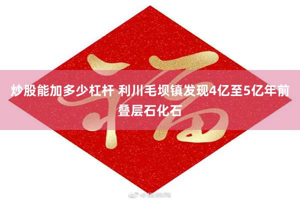 炒股能加多少杠杆 利川毛坝镇发现4亿至5亿年前叠层石化石