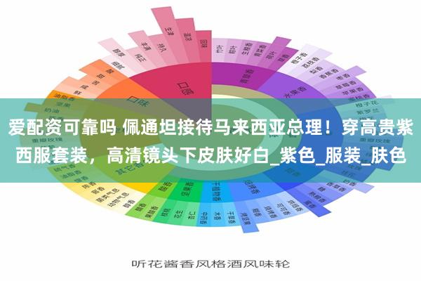 爱配资可靠吗 佩通坦接待马来西亚总理！穿高贵紫西服套装，高清镜头下皮肤好白_紫色_服装_肤色