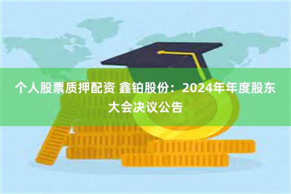 个人股票质押配资 鑫铂股份：2024年年度股东大会决议公告