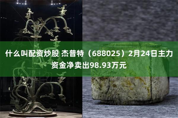 什么叫配资炒股 杰普特（688025）2月24日主力资金净卖出98.93万元