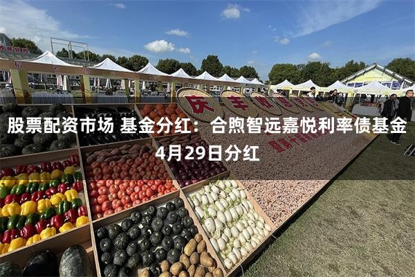 股票配资市场 基金分红：合煦智远嘉悦利率债基金4月29日分红