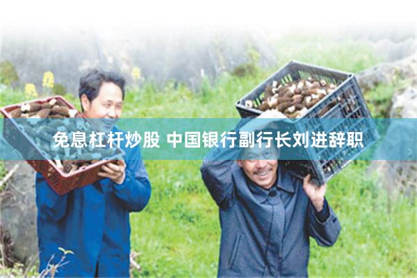 免息杠杆炒股 中国银行副行长刘进辞职