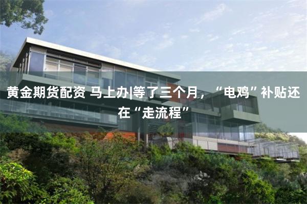 黄金期货配资 马上办|等了三个月，“电鸡”补贴还在“走流程”