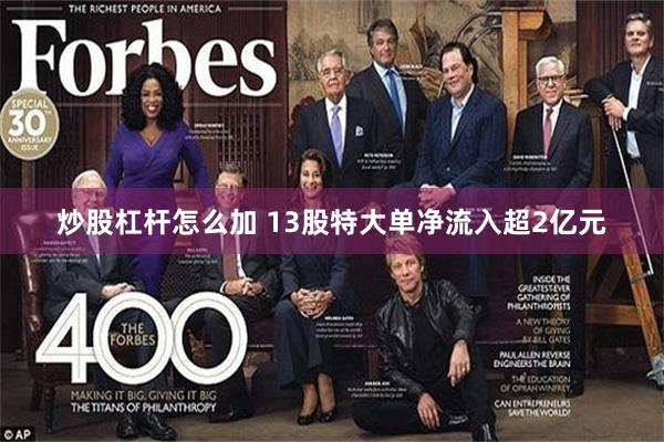 炒股杠杆怎么加 13股特大单净流入超2亿元