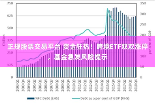 正规股票交易平台 资金狂热！跨境ETF双双涨停，基金急发风险提示