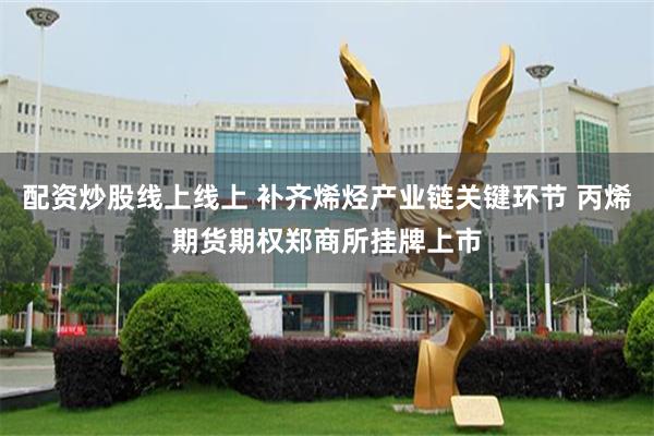 配资炒股线上线上 补齐烯烃产业链关键环节 丙烯期货期权郑商所挂牌上市