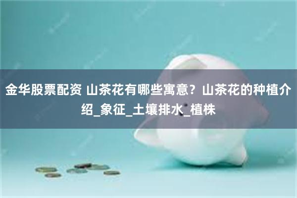 金华股票配资 山茶花有哪些寓意？山茶花的种植介绍_象征_土壤排水_植株