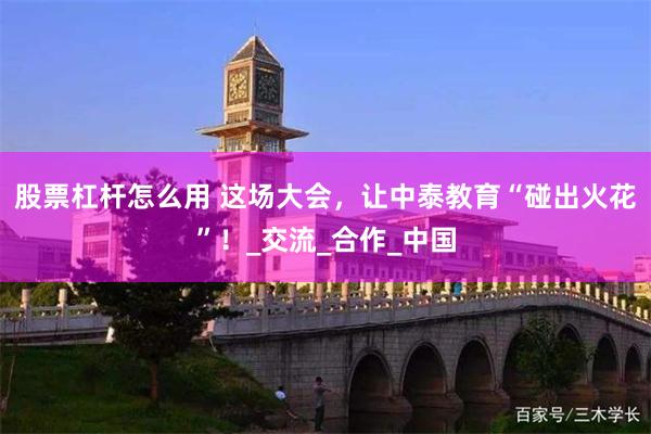 股票杠杆怎么用 这场大会，让中泰教育“碰出火花”！_交流_合作_中国