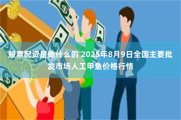 股票配资是做什么的 2025年8月9日全国主要批发市场人工甲鱼价格行情