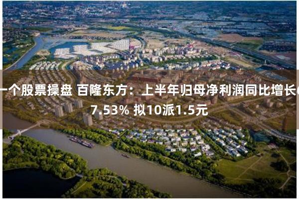 一个股票操盘 百隆东方：上半年归母净利润同比增长67.53% 拟10派1.5元